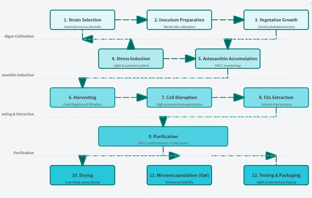 Natural Astaxanthin Powder Production Process Natural Astaxanthin Powder Production Process
